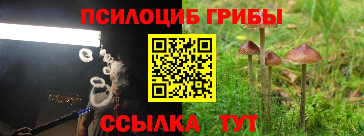 Галлюциногенные грибы прущие грибы  Вход с VPN  Канск 